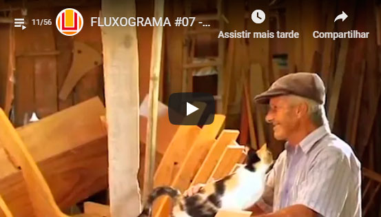 FLUXOGRAMA da FURGTV