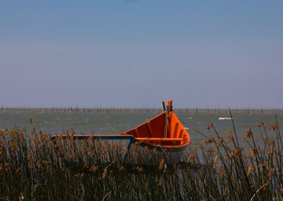 Lagoa dos Patos