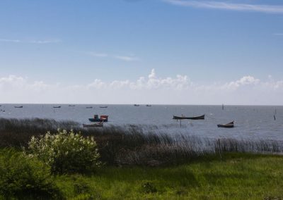 Lagoa dos Patos