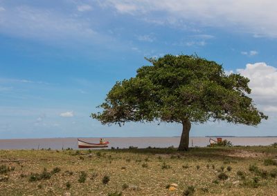 Ilha da Feitoria - Pelotas