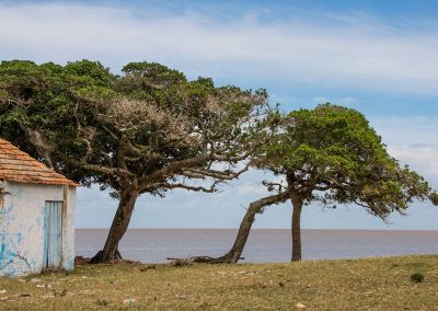 Ilha da Feitoria - Pelotas