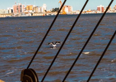 Lagoa dos Patos