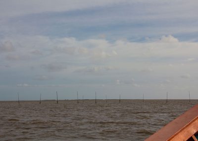 Lagoa dos Patos