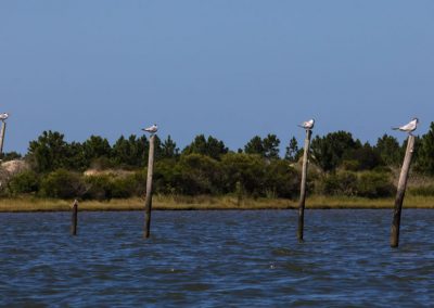 São José do Norte - Lagoa dos Patos - Andainas