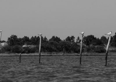 São José do Norte - Lagoa dos Patos - Andainas