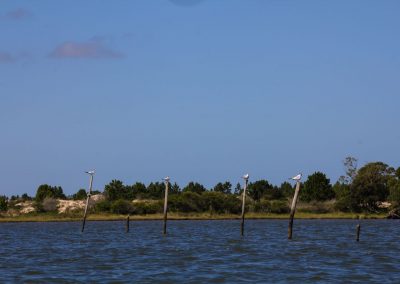 São José do Norte - Lagoa dos Patos - Andainas