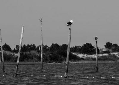 São José do Norte - Lagoa dos Patos - Andainas