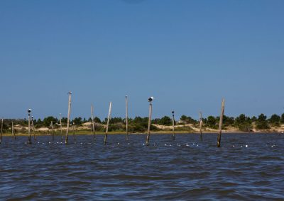 São José do Norte - Lagoa dos Patos - Andainas