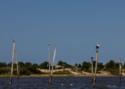 São José do Norte - Lagoa dos Patos - Andainas