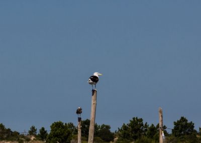 São José do Norte - Lagoa dos Patos - Andainas